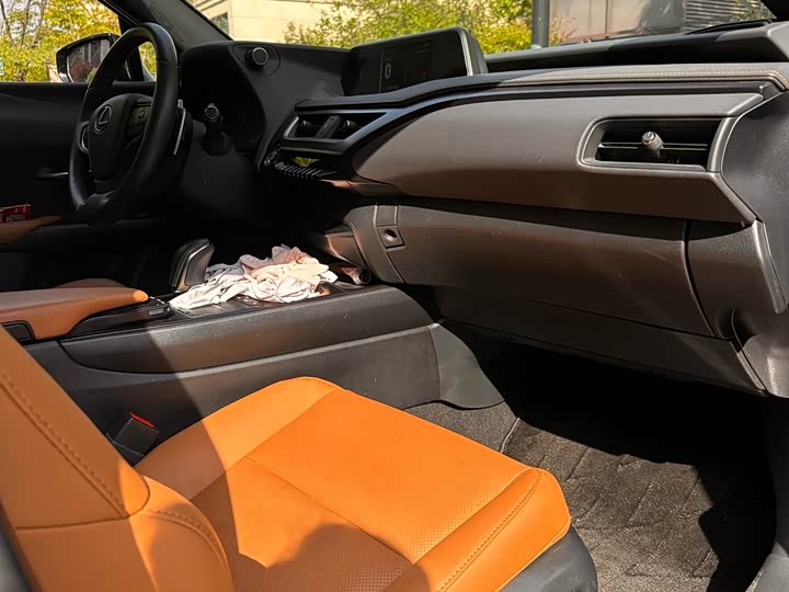 Lexus UX Hybrid 2020 2020款 300e 纯·悦版