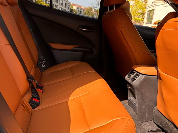 Lexus UX Hybrid 2020 2020款 300e 纯·悦版