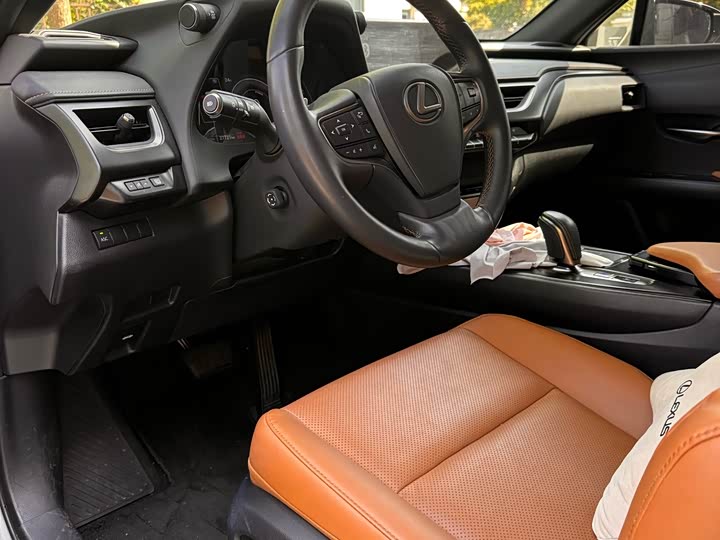 Lexus UX Hybrid 2020 2020款 300e 纯·悦版