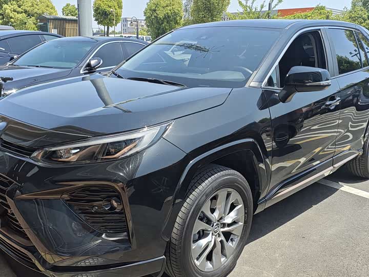 Toyota Wildlander 2024 2024款 2.0L CVT两驱领先版