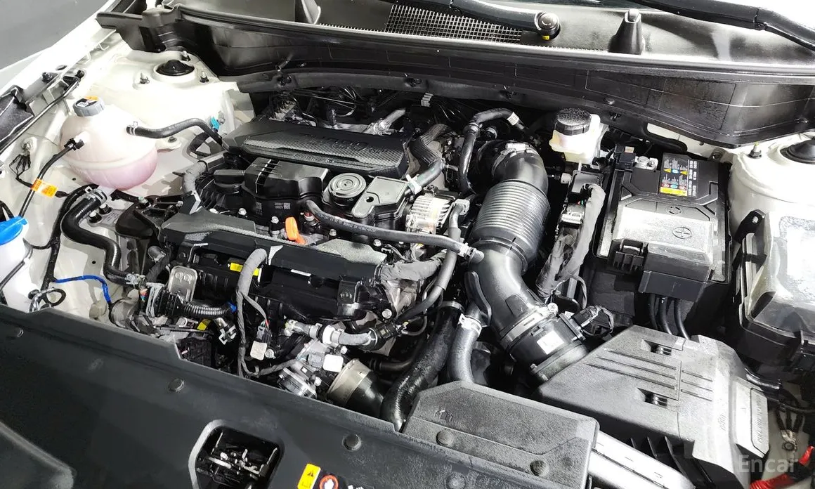 Kia Sportage 2024 Gasoline 1.6 Turbo 2WD