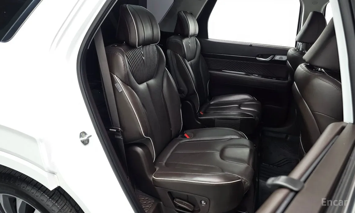 صورة 11 - Hyundai Palisade