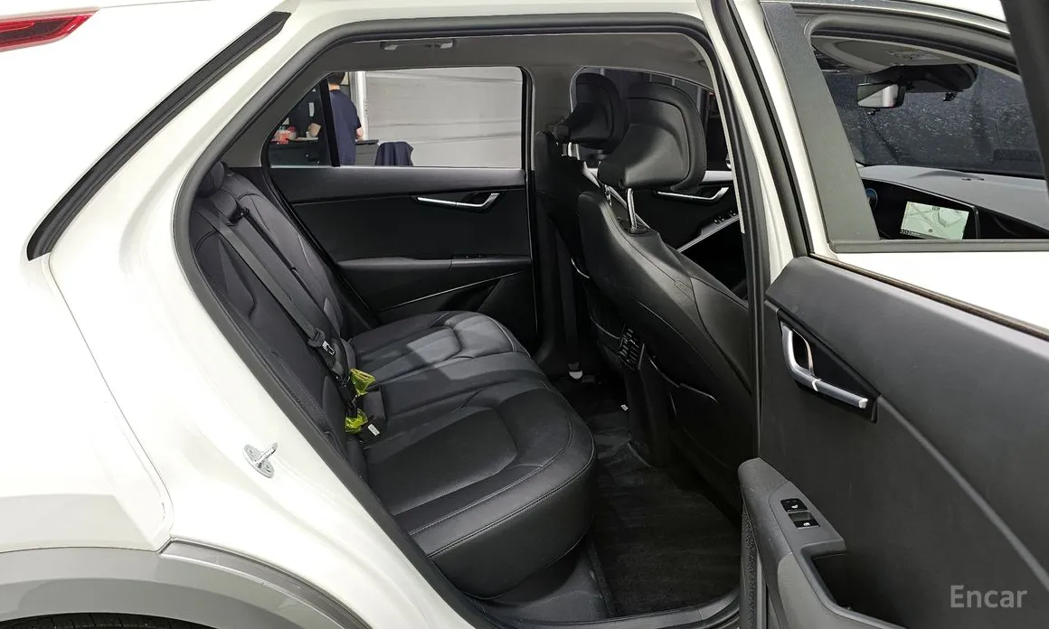 Kia Niro 2022 Earth