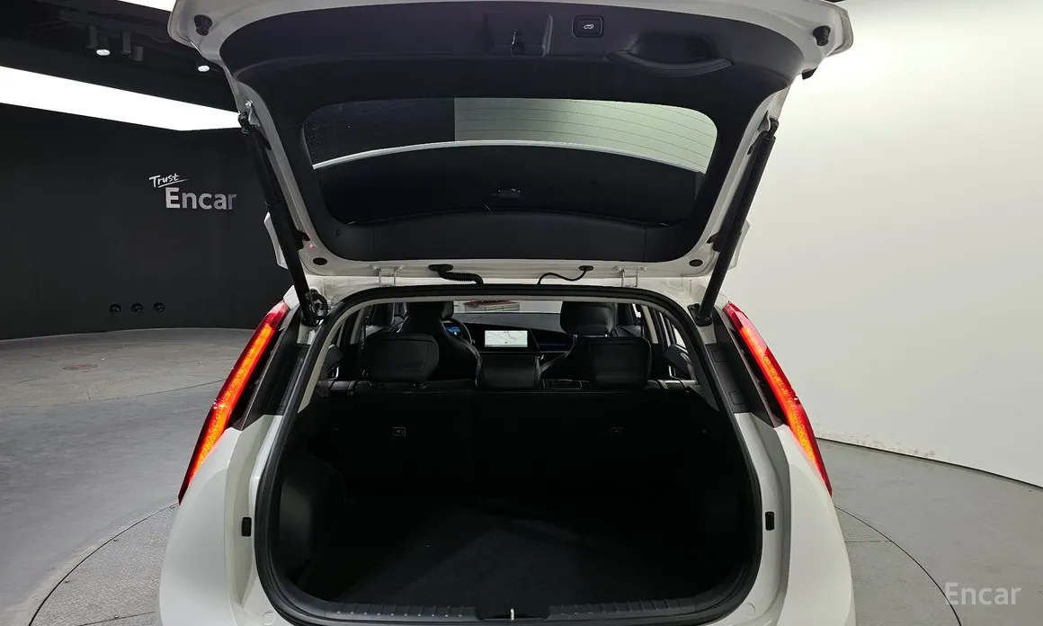 Kia Niro 2022 Earth