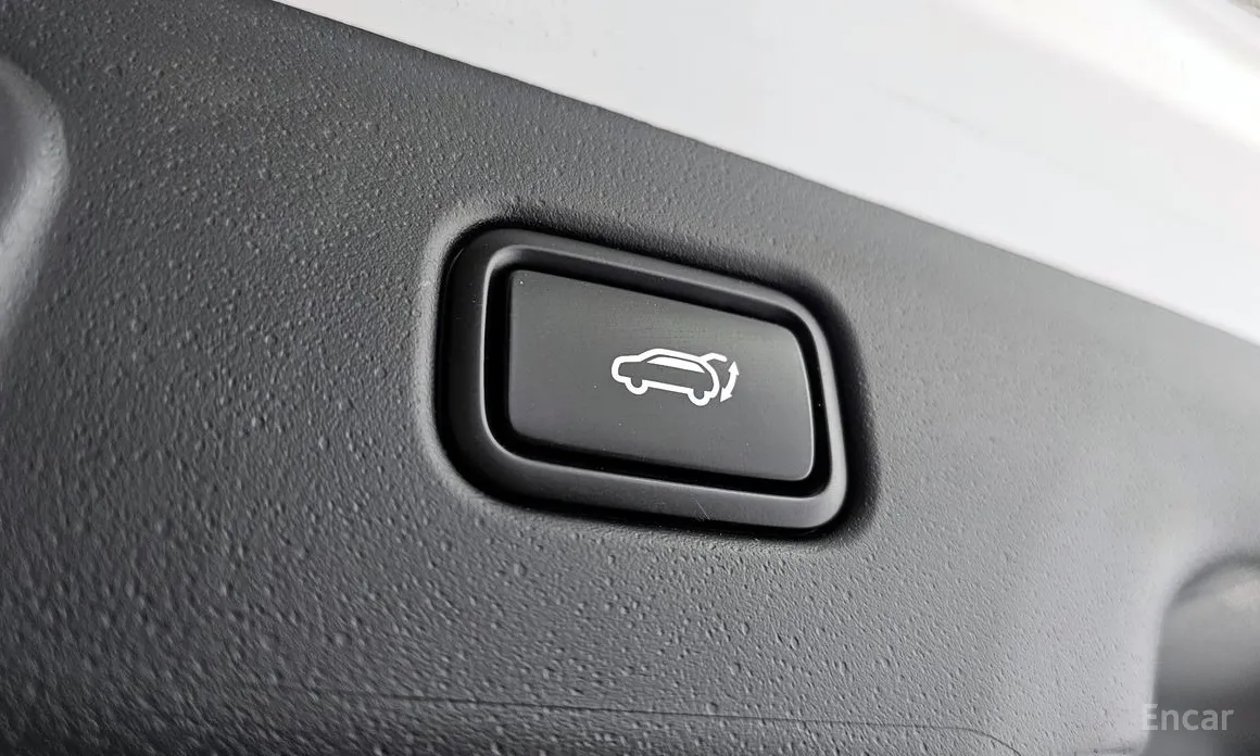 Kia Niro 2022 Earth
