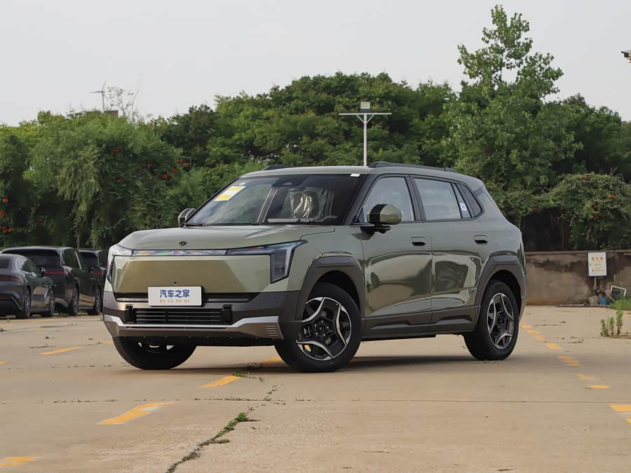 2025 Dongfeng Yipai Nano 06