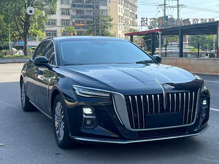 Zdjęcie 3 - Hongqi H5