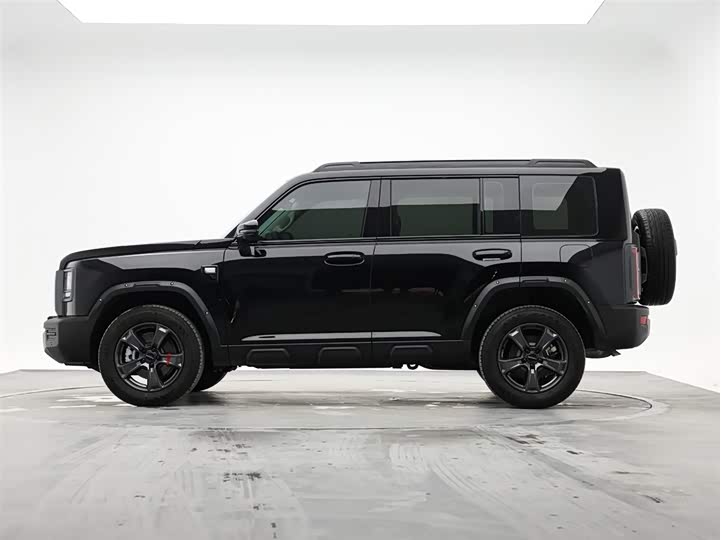 Haval Raptor 2025 2025款 2.0T 4WD Pro