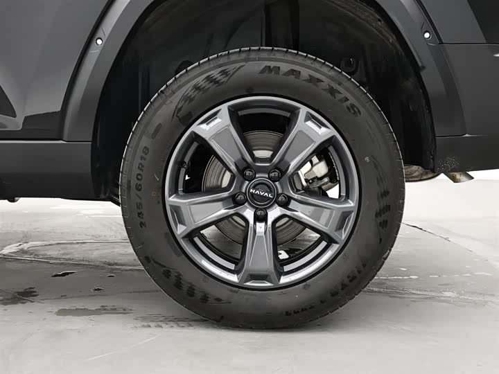 Haval Raptor 2025 2025款 2.0T 4WD Pro