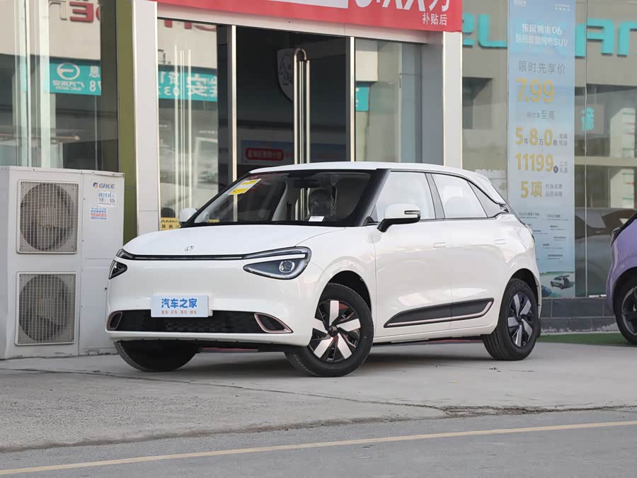 Dongfeng Yipai Nano 01 2026 2026款 初心款 330Fly