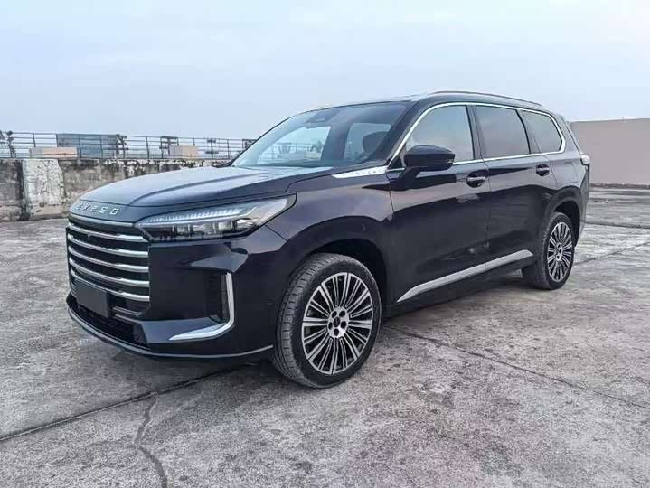 2025 Exeed VX C-DM Hybrid