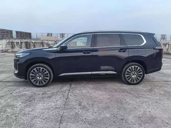 2025 Exeed VX C-DM Hybrid