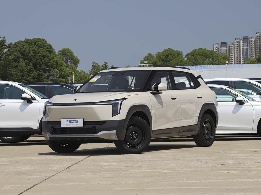 2025 Dongfeng Yipai Nano 06