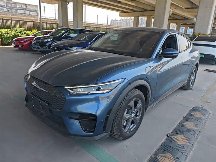 Ford Mustang Mach-E 2021 2021款 跃世后驱版(标准续航)