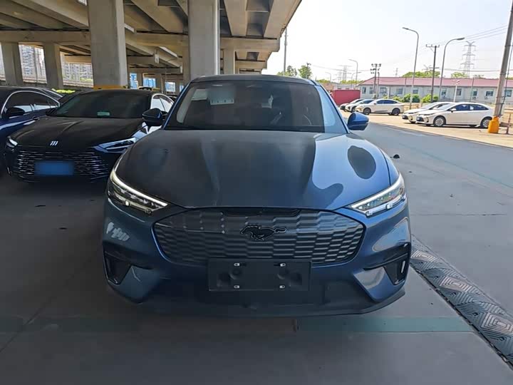 Ford Mustang Mach-E 2021 2021款 跃世后驱版(标准续航)