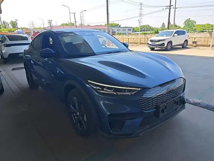 Ford Mustang Mach-E 2021 2021款 跃世后驱版(标准续航)