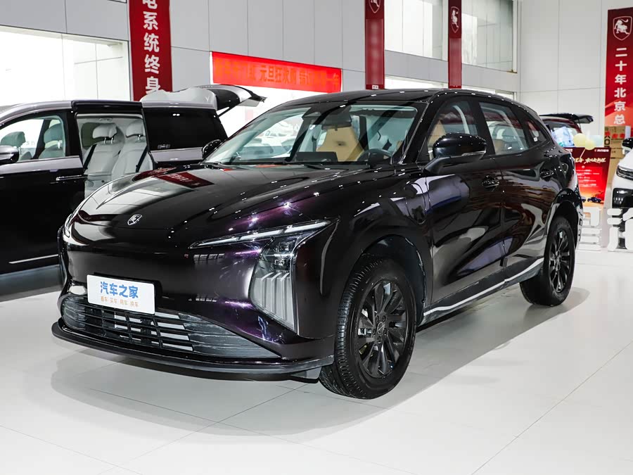 Dongfeng Forthing Xinghai T5 2026 2026款 530km 尊享版
