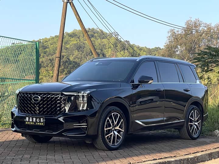 GAC Trumpchi GS8 2022 2022款 领航系列 2.0TGDI 两驱豪华智联版（七座）