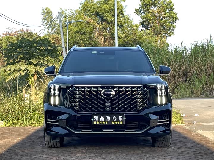 GAC Trumpchi GS8 2022 2022款 领航系列 2.0TGDI 两驱豪华智联版（七座）