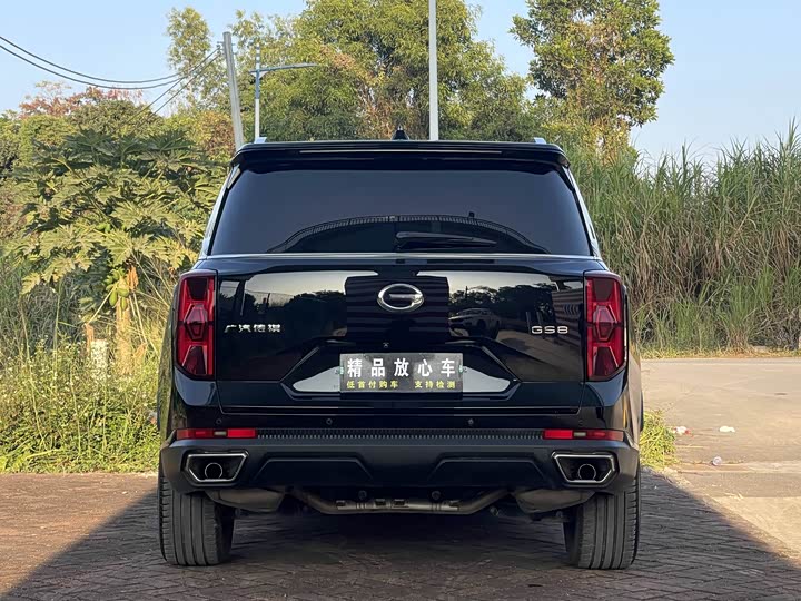 GAC Trumpchi GS8 2022 2022款 领航系列 2.0TGDI 两驱豪华智联版（七座）