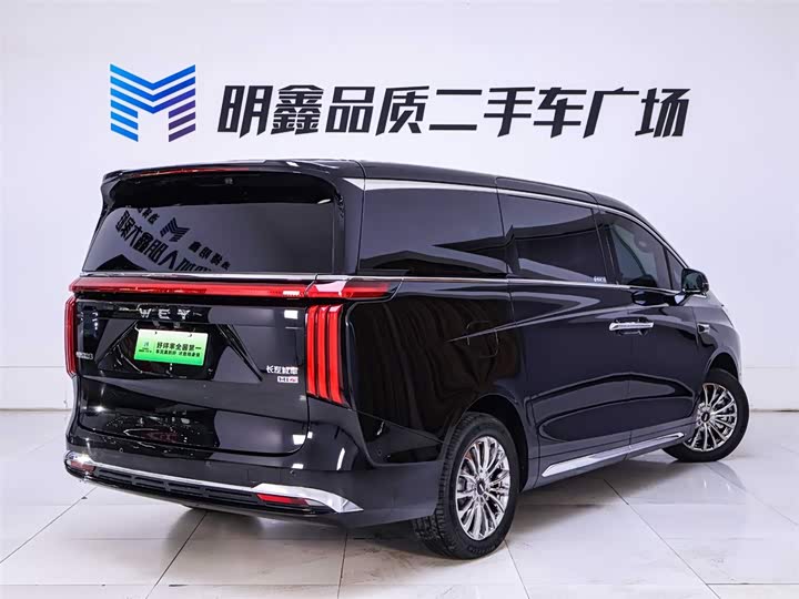 Wey Gaoshan 2025 2025款 四驱高山8