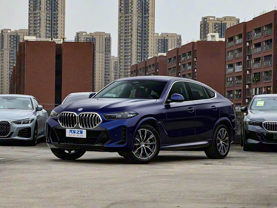 2026 BMW X6