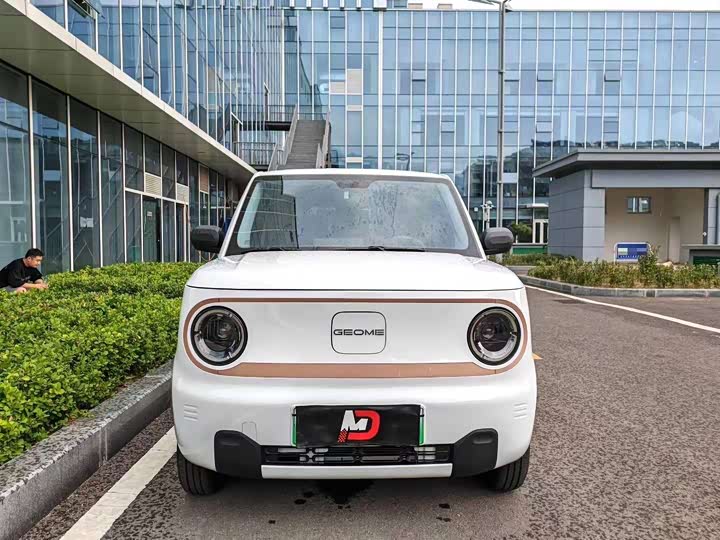 Фото 2 - Geely Galaxy Panda Mini