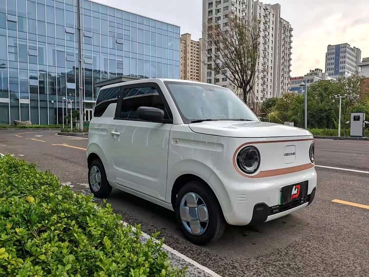 Фото 3 - Geely Galaxy Panda Mini