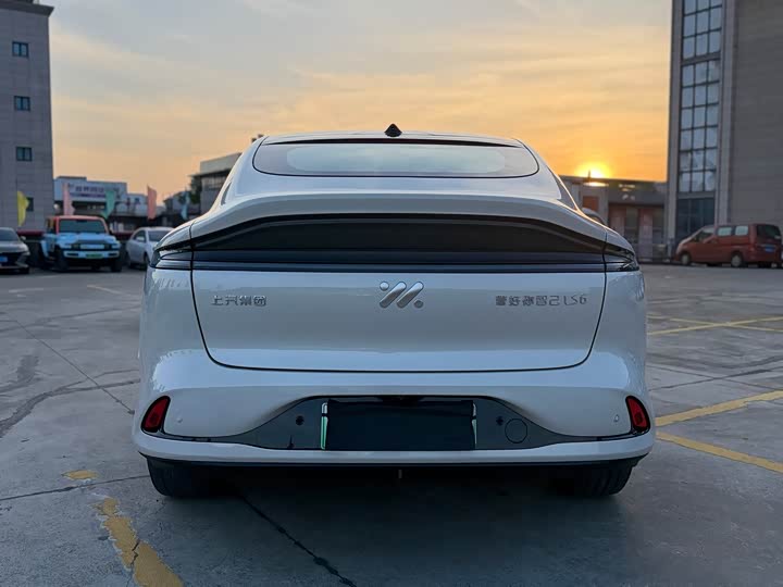 Zdjęcie 7 - IM motors LS6
