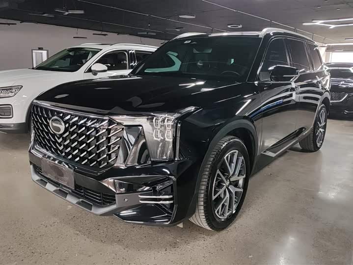 GAC Trumpchi GS8 2024 2024款 领航系列 2.0TGDI 两驱豪华智联版 7座