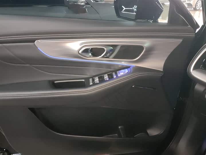 GAC Trumpchi GS8 2024 2024款 领航系列 2.0TGDI 两驱豪华智联版 7座