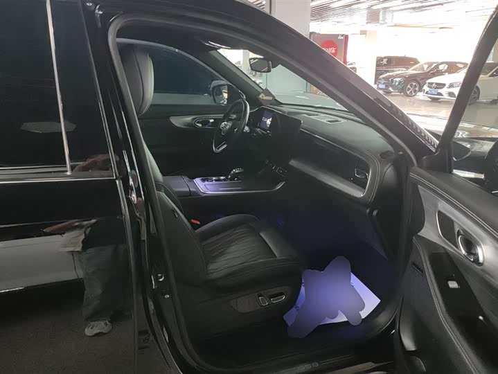 GAC Trumpchi GS8 2024 2024款 领航系列 2.0TGDI 两驱豪华智联版 7座