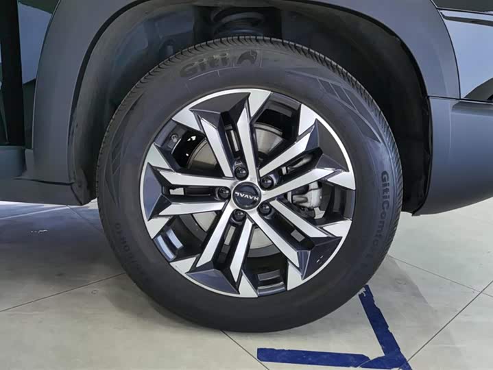 Фото 6 - Haval Dargo
