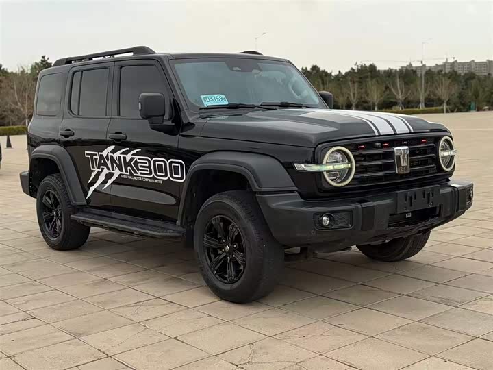 Tank 300