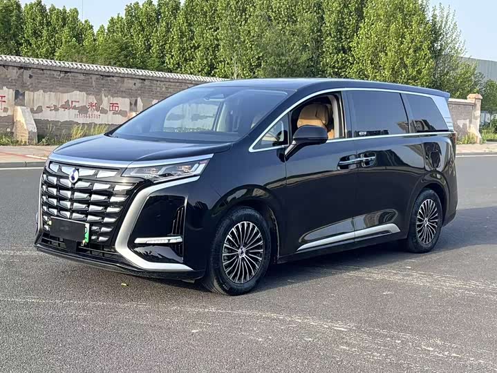 Denza D9
