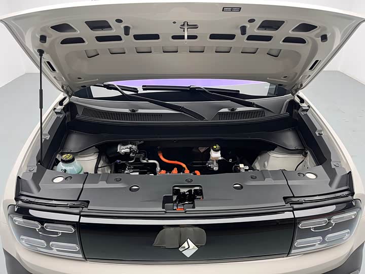 Baojun Yep Plus 2026 2026款 301km旗舰版