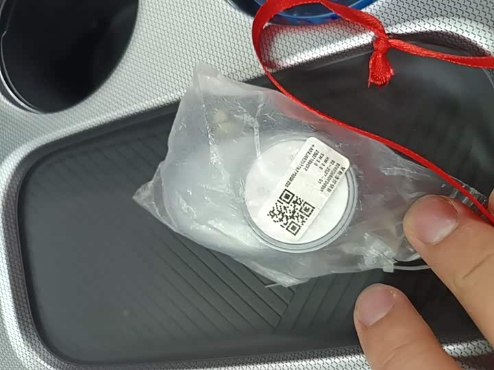 GAC Aion Y 2025 2025款 Plus 510 智享版