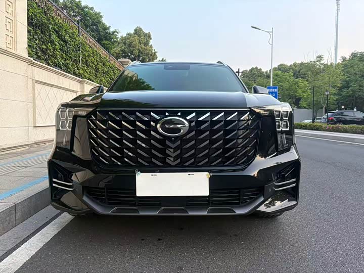 GAC Trumpchi GS8 2022 2022款 领航系列 2.0TGDI 两驱豪华智联版（七座）