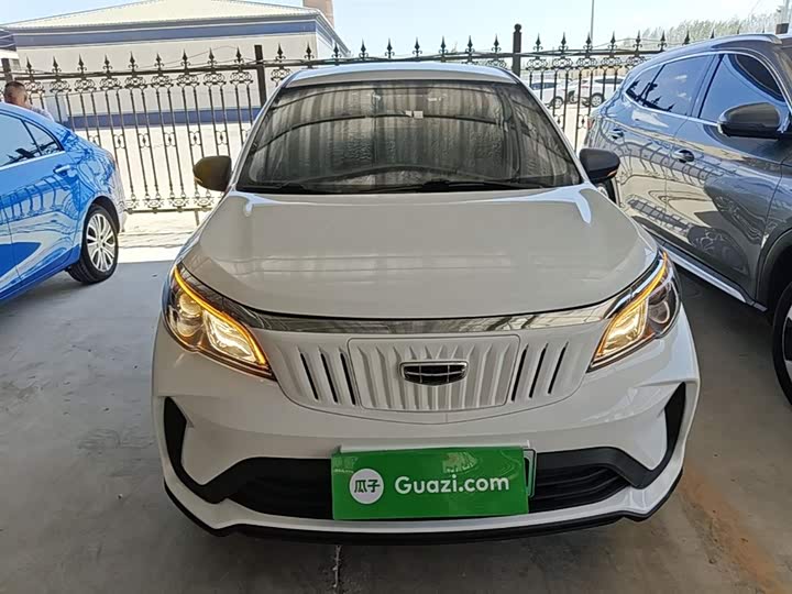 Geely Geometry EX3 2021 2021款 坚强牛牛