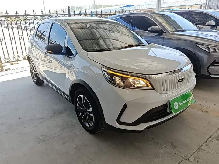 Geely Geometry EX3 2021 2021款 坚强牛牛