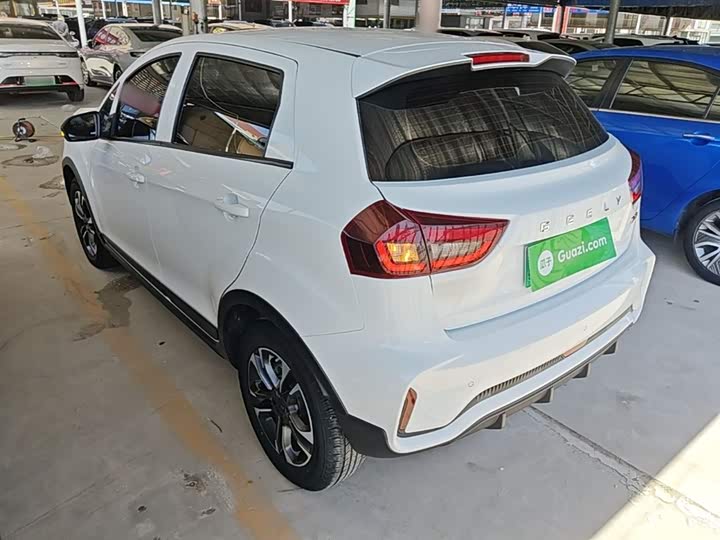 Geely Geometry EX3 2021 2021款 坚强牛牛