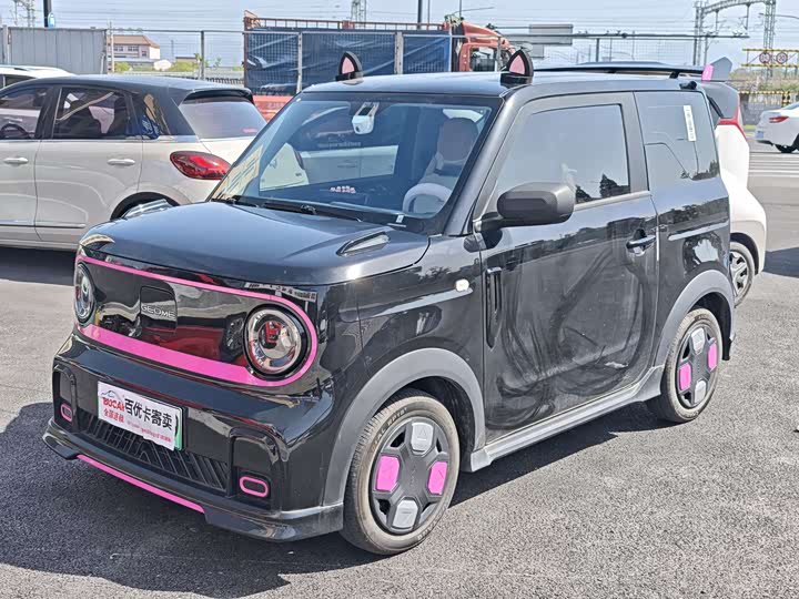 Geely Galaxy Panda Mini