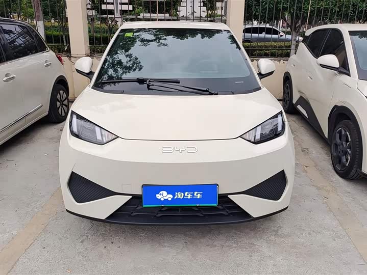 Фото 2 - BYD Seagull