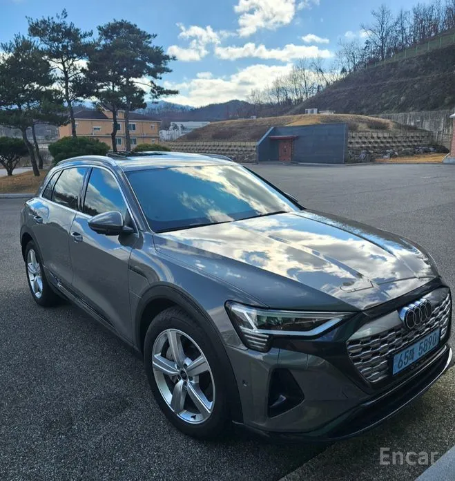 Audi Q8 e-tron 2024 50 Quattro