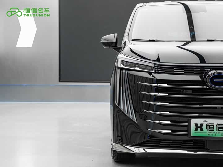 GAC Trumpchi E9 2024 2024款 E9 尊享版