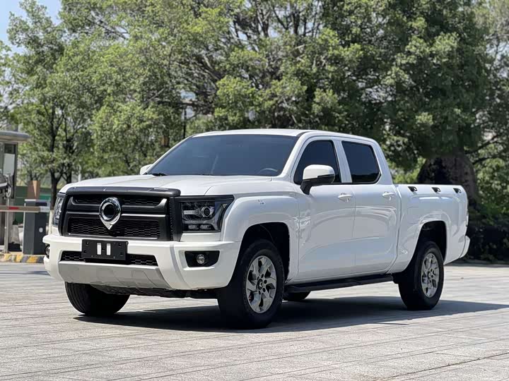 Great Wall King Kong Poer