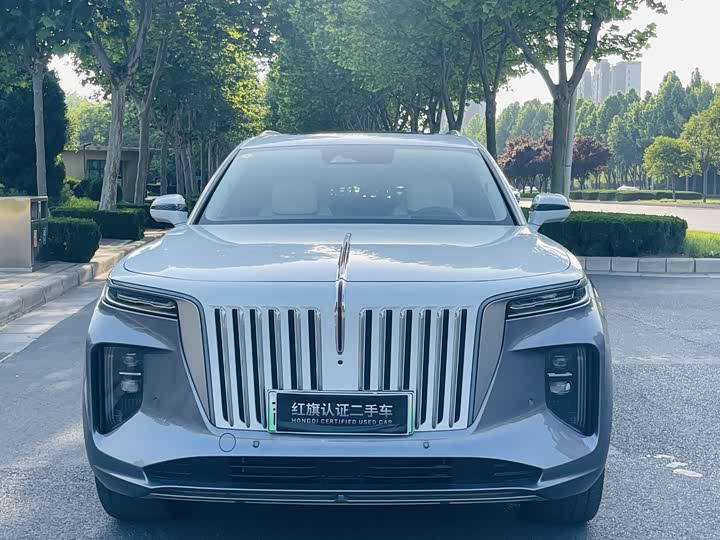 Фото 2 - Hongqi E-HS9