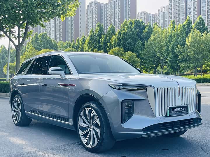 Фото 3 - Hongqi E-HS9