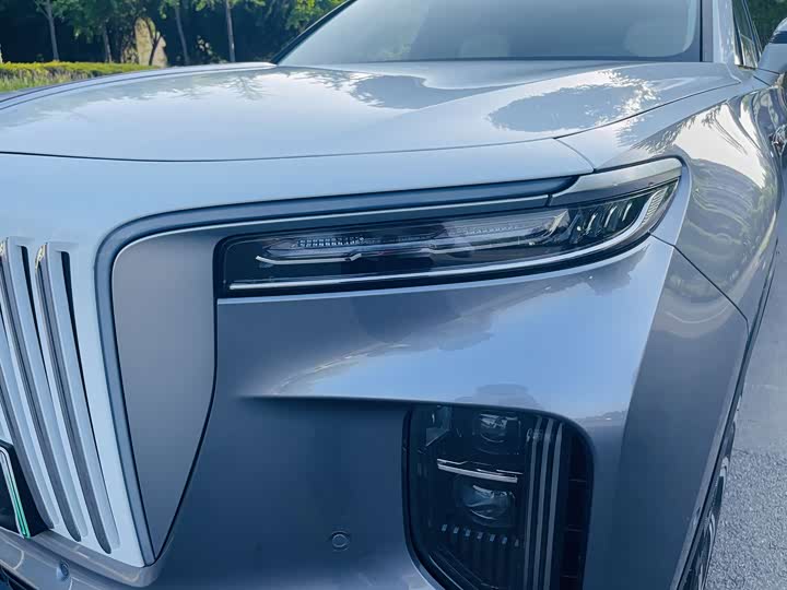 Фото 5 - Hongqi E-HS9