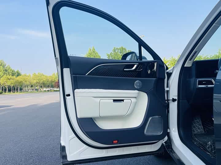 Фото 7 - Hongqi E-HS9